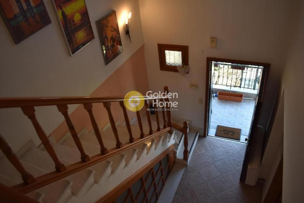 House in Sozopoli, Triglia — Photo 4 of 28