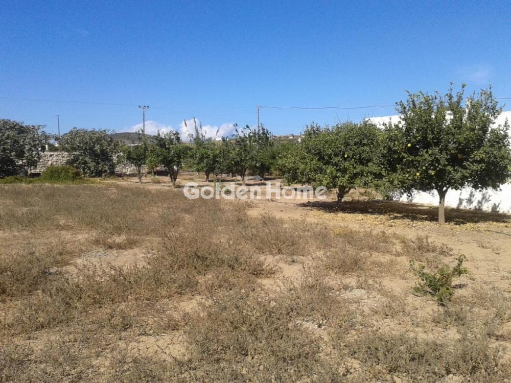 Μονοκατοικία στην Αμπελάς, Πάρος — Φωτογραφία 19 από 24