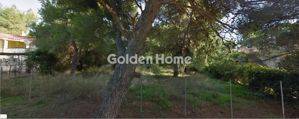 Parcel in Perivolakia, Rafina
