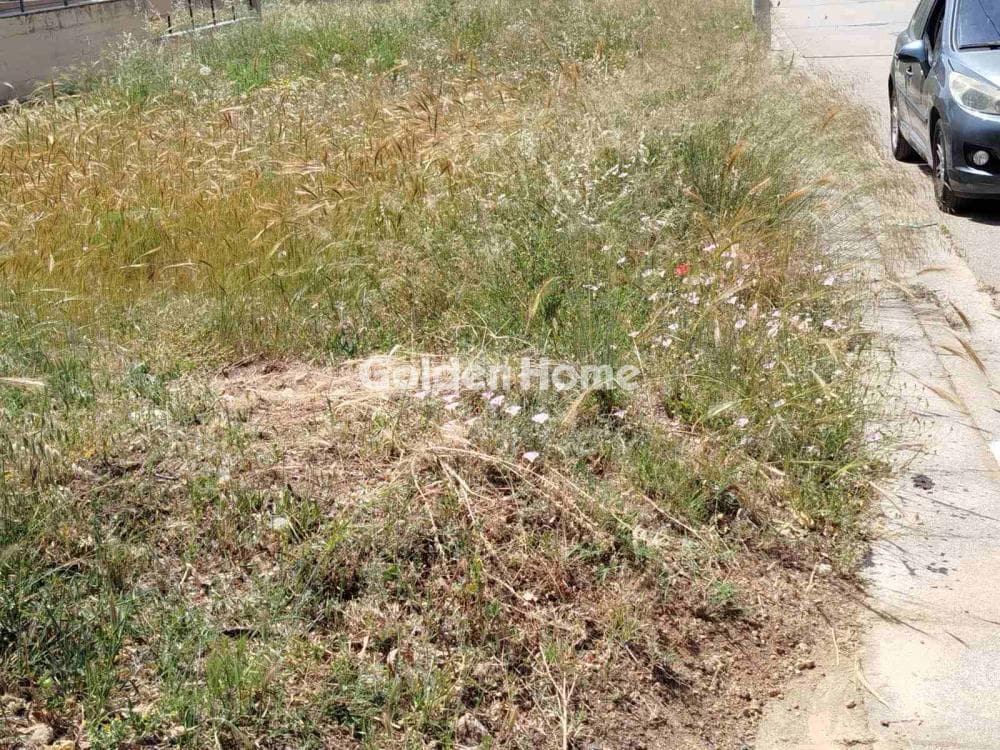 Parcel in Megala Sxoinia A, Acharnes — Photo 4 of 5
