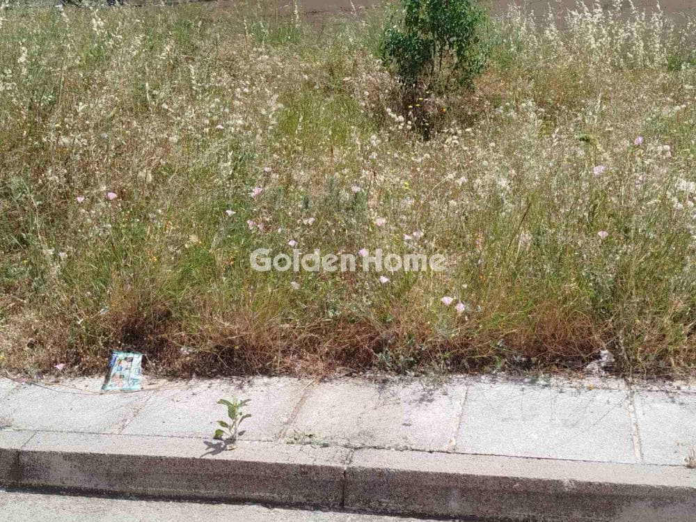 Parcel in Megala Sxoinia A, Acharnes — Photo 5 of 5