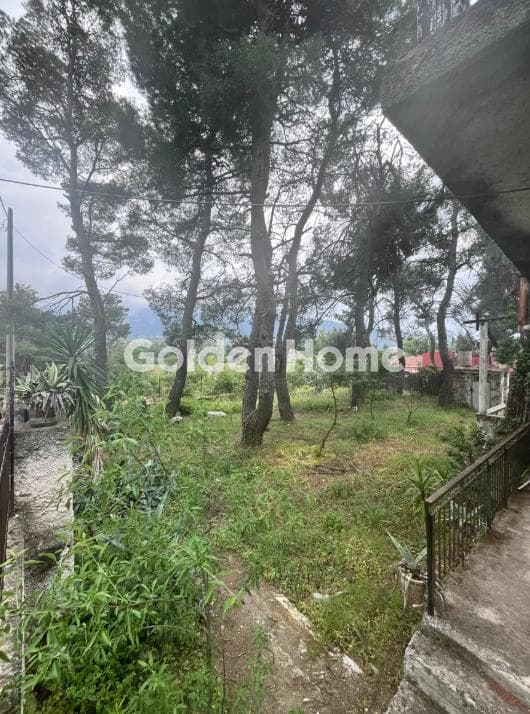 Parcel in Agia Paraksevi, Anoixi — Photo 1 of 2