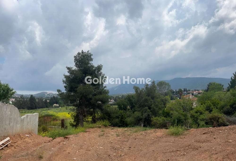 Parcel in Agia Paraksevi, Anoixi — Photo 2 of 2