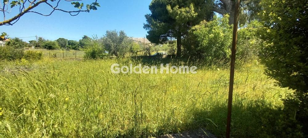 Αγροτεμάχιο στην Κέντρο, Γέρακας — Φωτογραφία 1 από 3