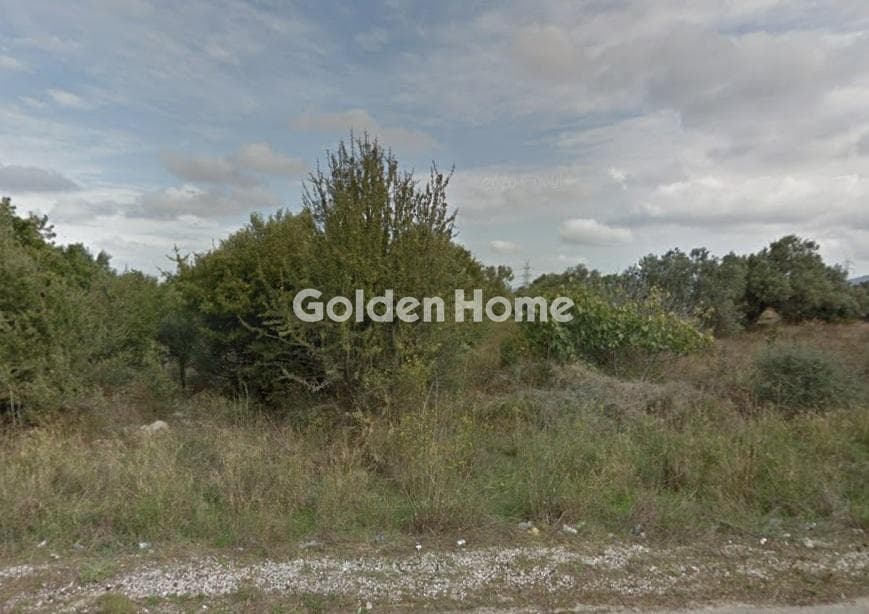 Parcel in Center, Markopoulo