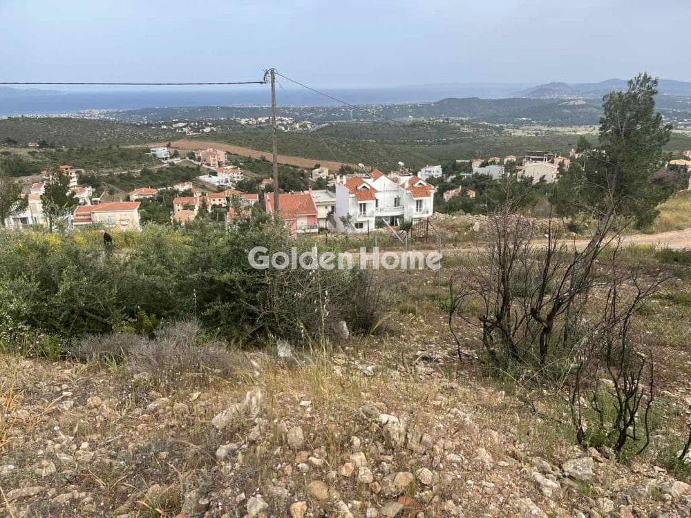 Οικόπεδο στην Δασαμάρι, Πικέρμι — Φωτογραφία 4 από 10