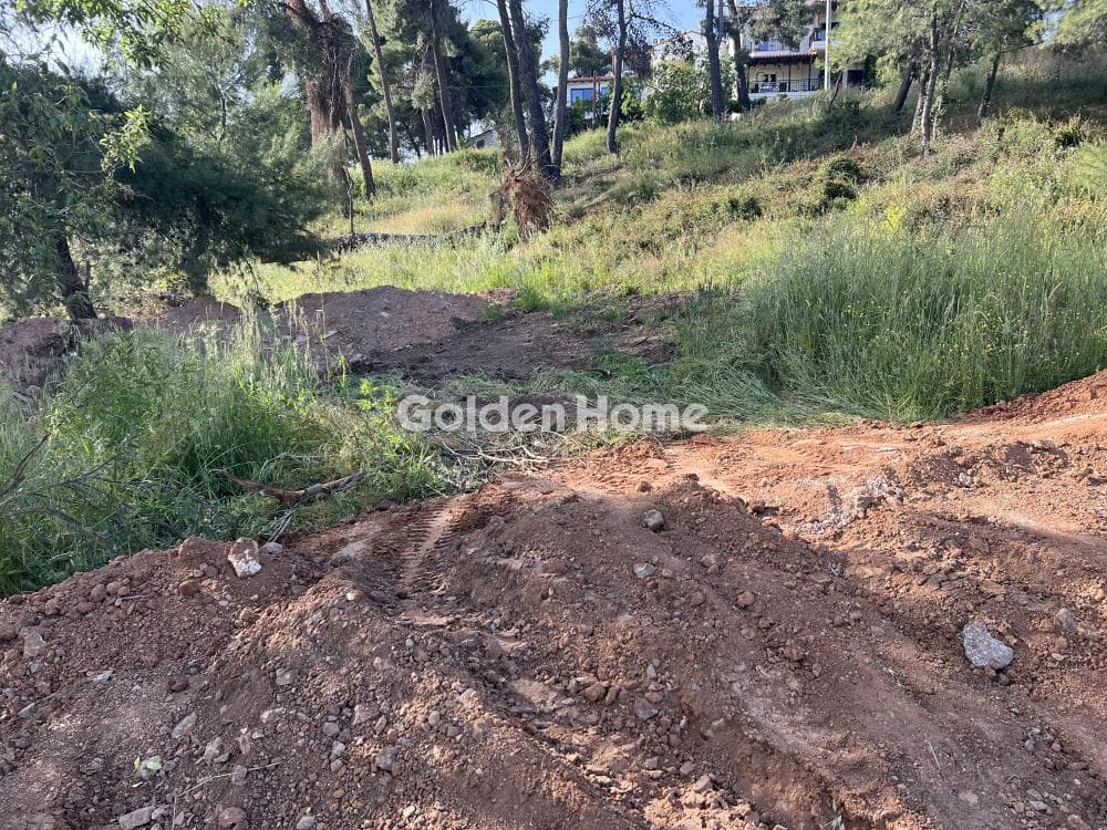 Building Plot in Agia Paraskevi, Agios Stefanos — Photo 3 of 3