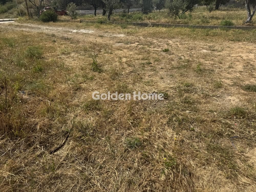 Building Plot in Ntrafi, Pikermi — Photo 4 of 6