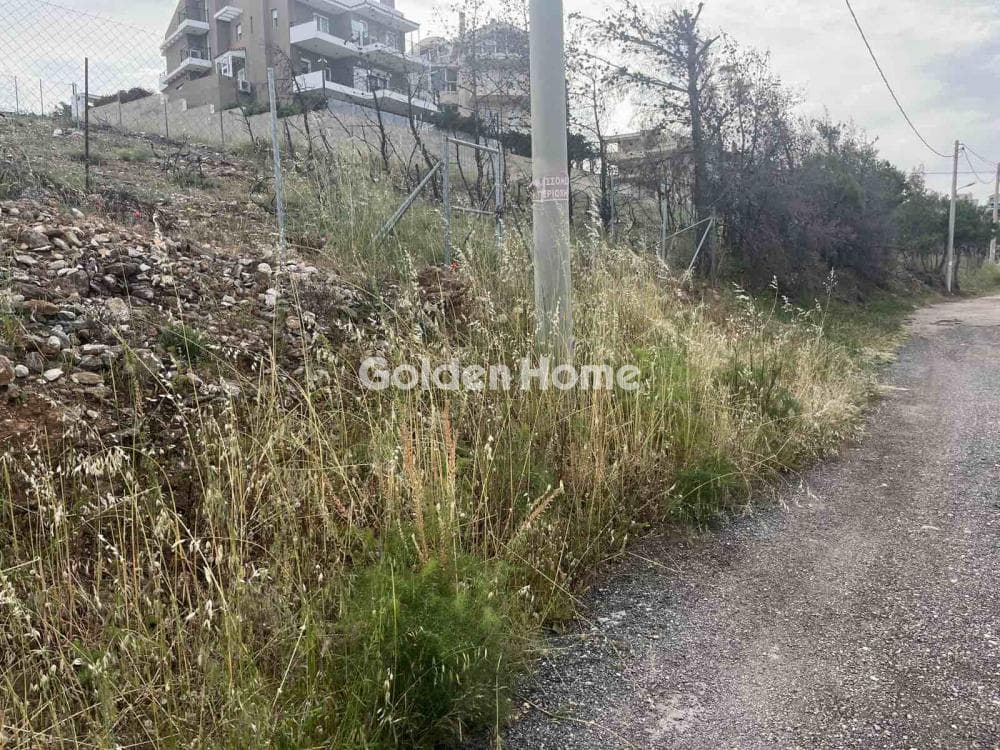 Οικόπεδο στην Δασαμάρι, Πικέρμι — Φωτογραφία 1 από 3