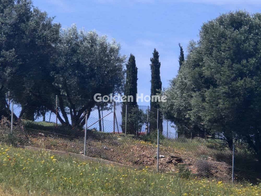 House in Sinterina, Anavissos — Photo 2 of 5