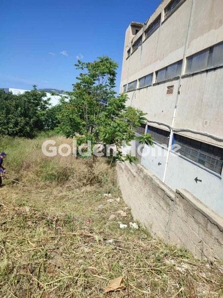 Building Plot in Pirgouthi, Acharnes — Photo 5 of 5