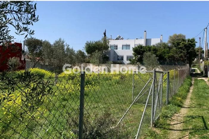 Οικόπεδο στην Άγιος Σεραφείμ, Αρτέμιδα (Λούτσα) — Φωτογραφία 1 από 3