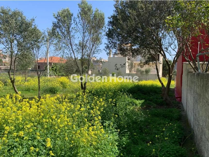 Οικόπεδο στην Άγιος Σεραφείμ, Αρτέμιδα (Λούτσα) — Φωτογραφία 2 από 3