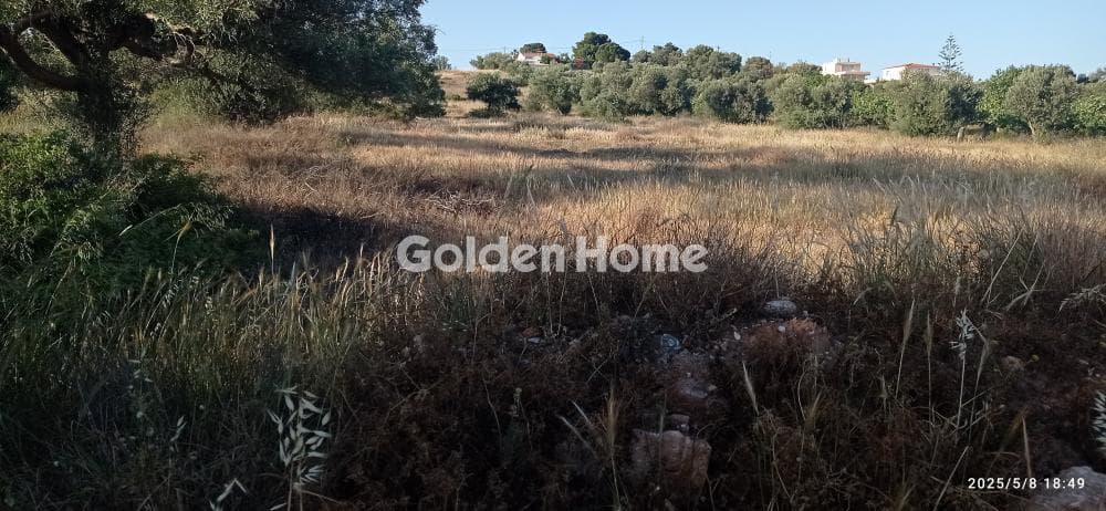 Parcel in Lamprika, Koropi — Photo 1 of 3