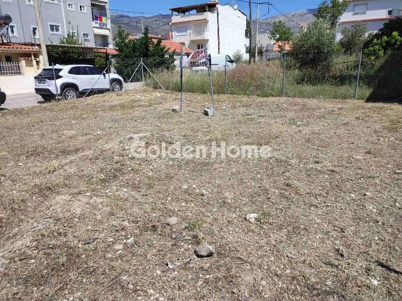 Building Plot in Megala Sxoinia A, Acharnes — Photo 3 of 3
