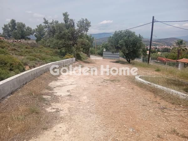 Διαμέρισμα στην Κεφλαίικα, Καλύβια Θορικού — Φωτογραφία 25 από 26