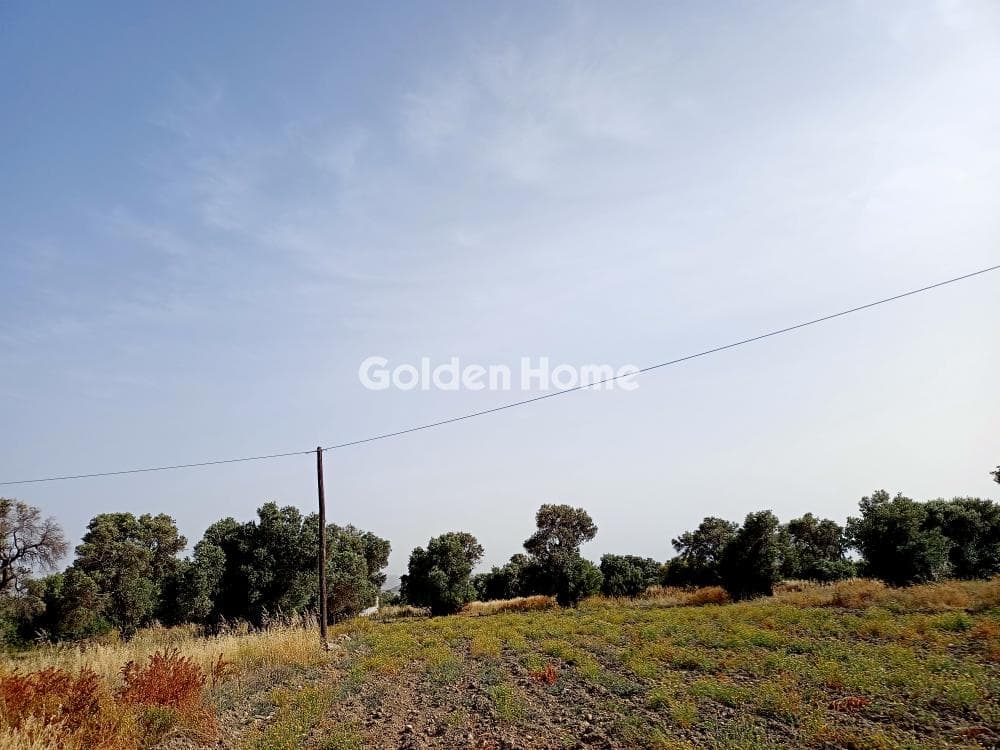 Building Plot in Kokkinos Pirgos, Timpaki — Photo 1 of 4