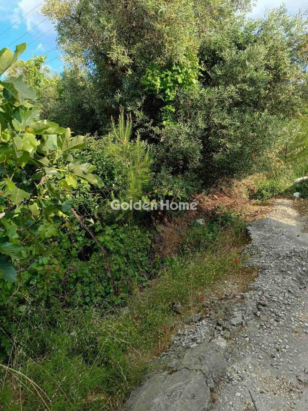 Building Plot in Centre, Glika Nera