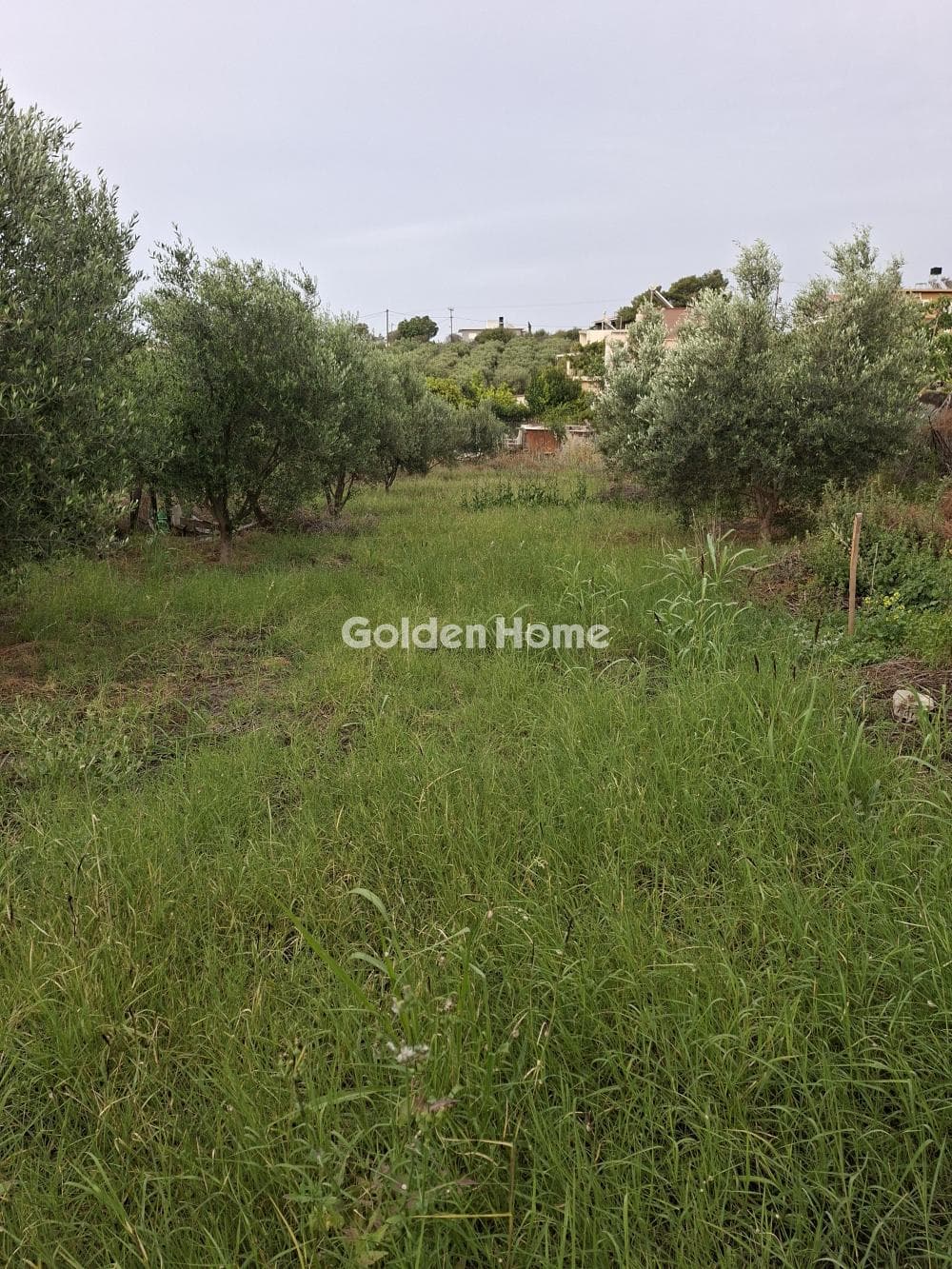 Building Plot in Fodele, Gazi — Photo 1 of 10