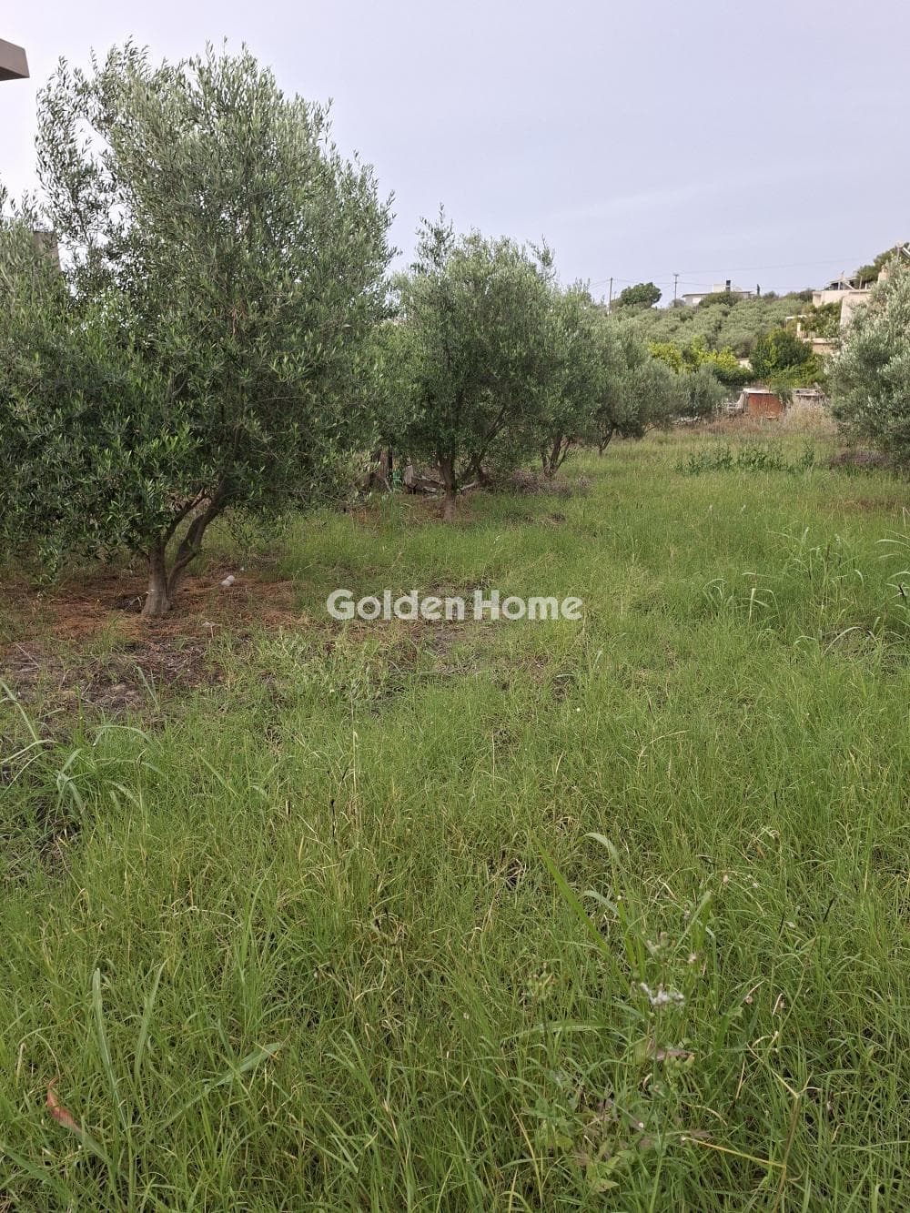 Building Plot in Fodele, Gazi — Photo 2 of 10