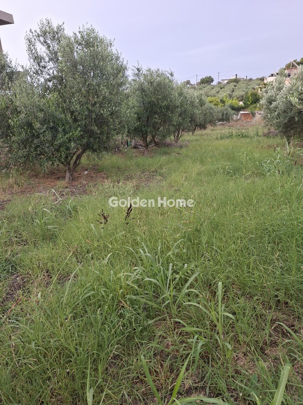 Building Plot in Fodele, Gazi — Photo 4 of 10