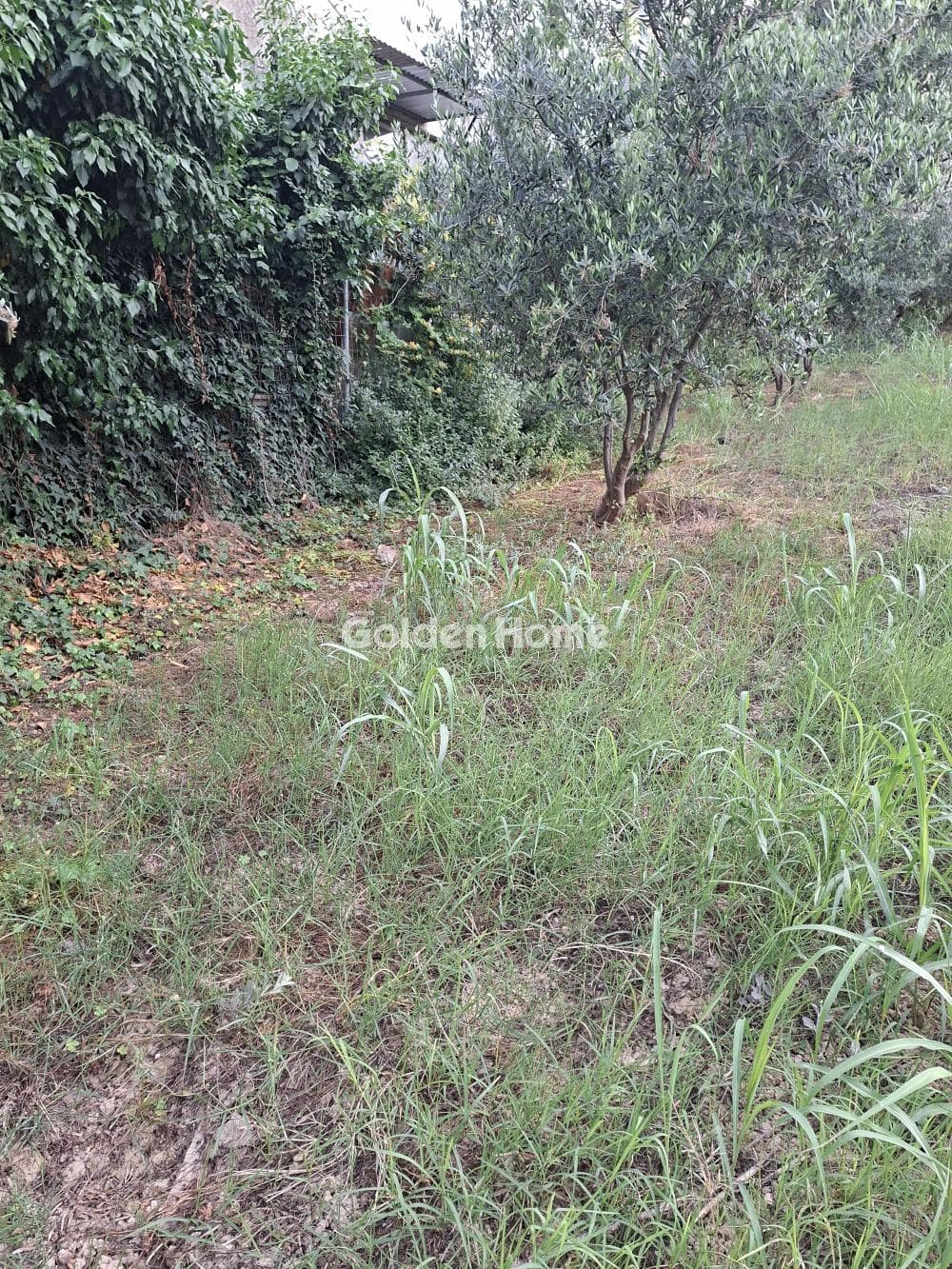Building Plot in Fodele, Gazi — Photo 5 of 10