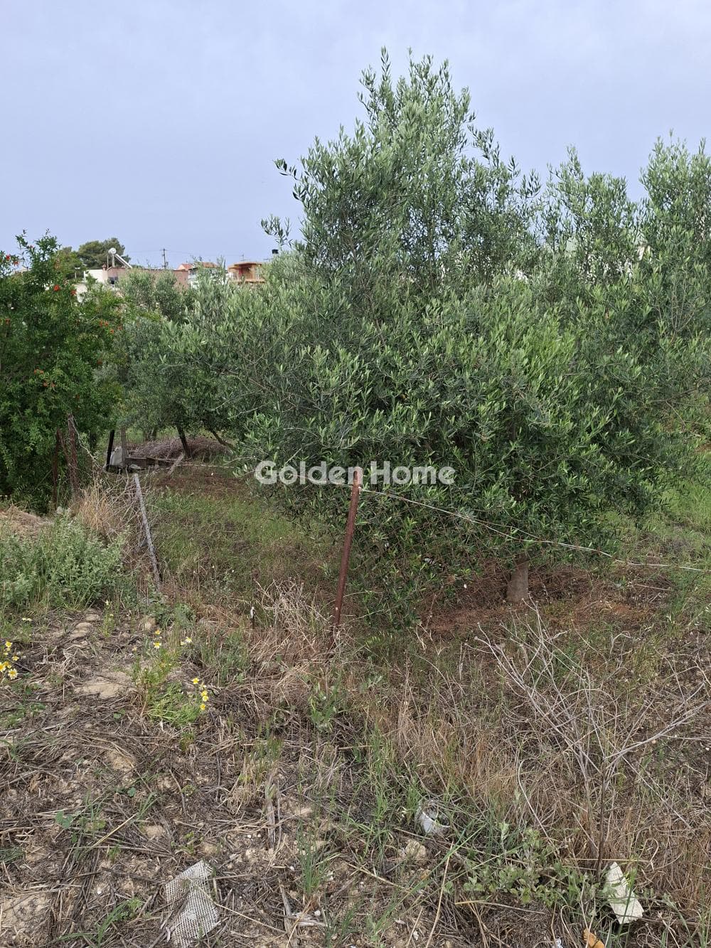 Building Plot in Fodele, Gazi — Photo 6 of 10