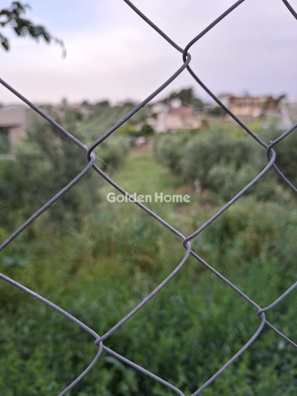 Building Plot in Fodele, Gazi — Photo 8 of 10