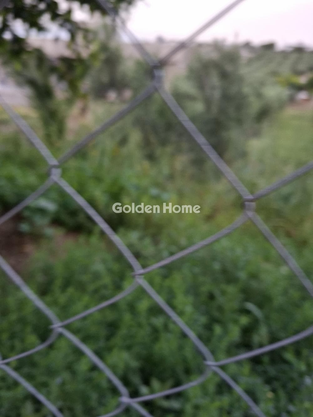 Building Plot in Fodele, Gazi — Photo 9 of 10