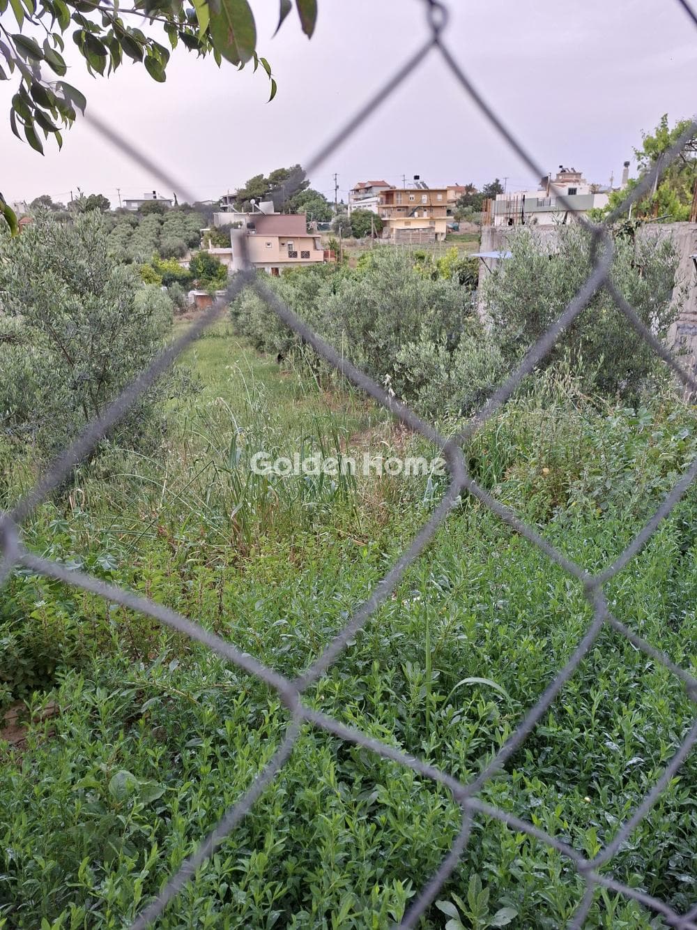 Building Plot in Fodele, Gazi — Photo 10 of 10