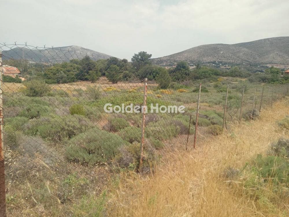 Parcel in Galazia akti, Kalivia Thorikou — Photo 3 of 11