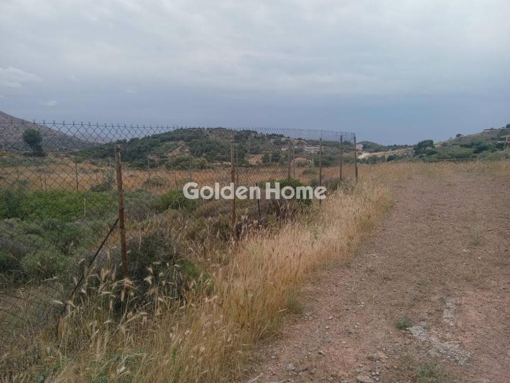 Parcel in Galazia akti, Kalivia Thorikou — Photo 9 of 11