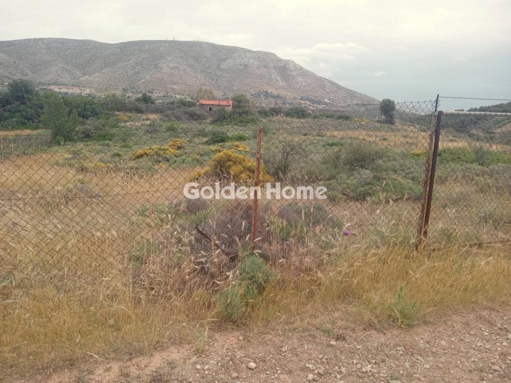 Parcel in Galazia akti, Kalivia Thorikou — Photo 2 of 11