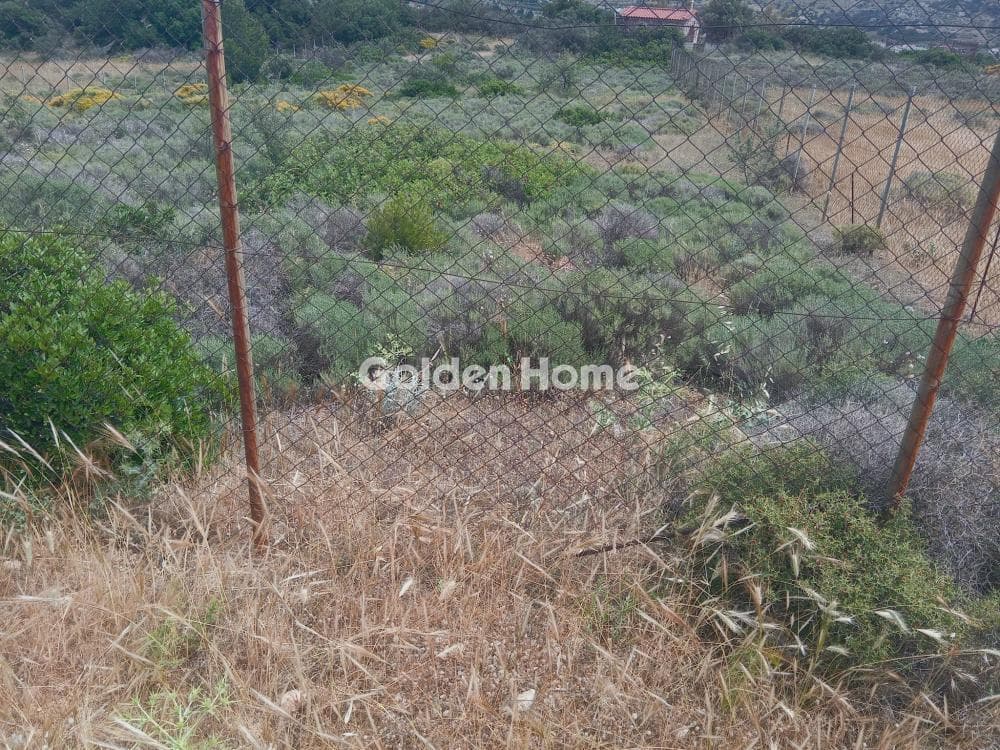 Parcel in Galazia akti, Kalivia Thorikou — Photo 8 of 11