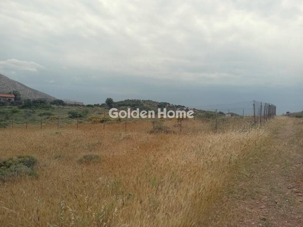 Parcel in Galazia akti, Kalivia Thorikou — Photo 11 of 11