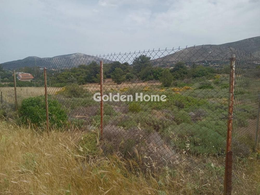 Parcel in Galazia akti, Kalivia Thorikou — Photo 4 of 11