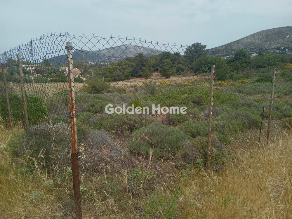 Parcel in Galazia akti, Kalivia Thorikou — Photo 5 of 11