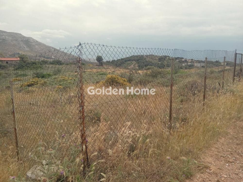 Parcel in Galazia akti, Kalivia Thorikou — Photo 6 of 11