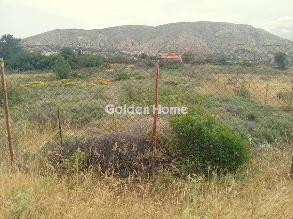 Parcel in Galazia akti, Kalivia Thorikou — Photo 1 of 11