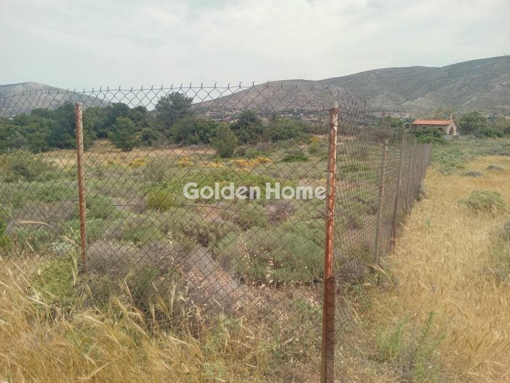 Parcel in Galazia akti, Kalivia Thorikou — Photo 10 of 11
