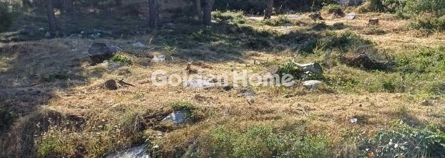 Οικόπεδο στην Αδάμες (Οικισμός Πελοποννησίων), Κηφισιά