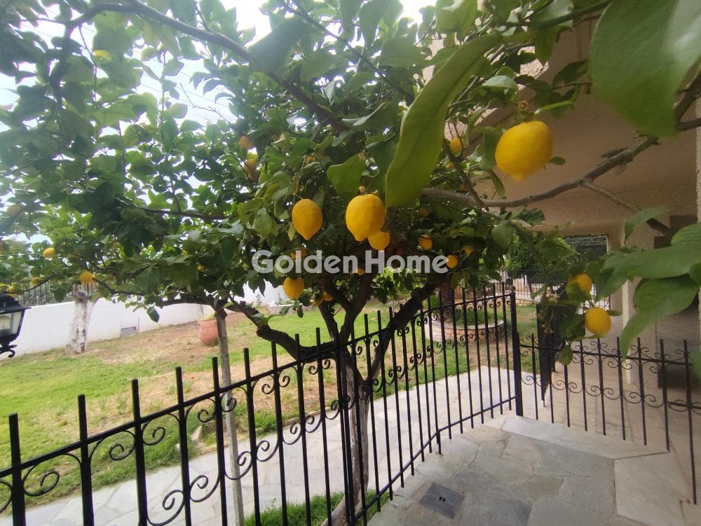 House in Agios Nikolaos, Rafina — Photo 43 of 49
