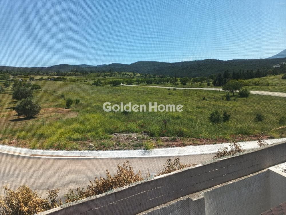 House in Center, Pylea — Photo 103 of 142