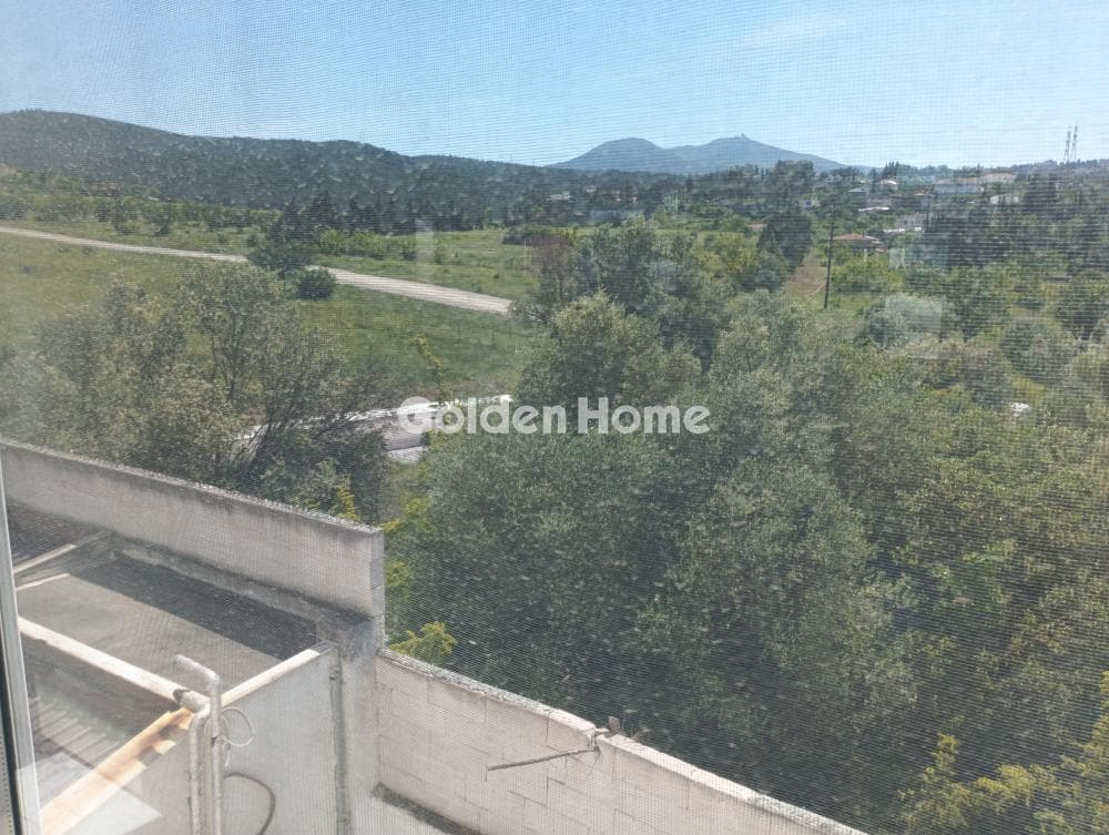 House in Center, Pylea — Photo 9 of 142