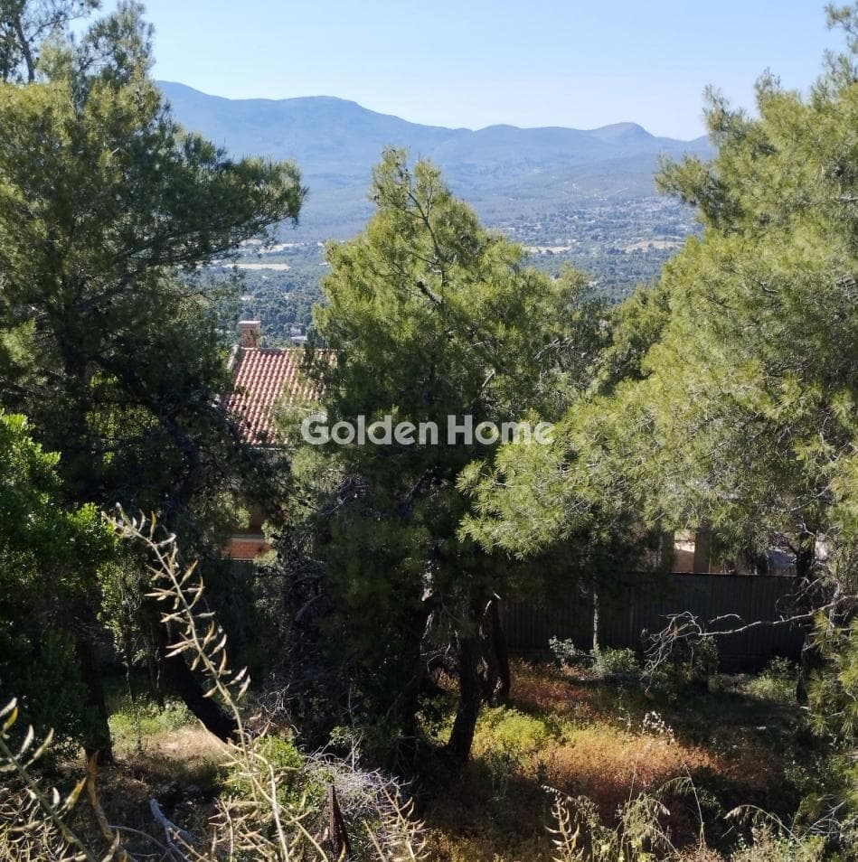Οικόπεδο στην Αναγέννηση, Δροσιά — Φωτογραφία 2 από 6