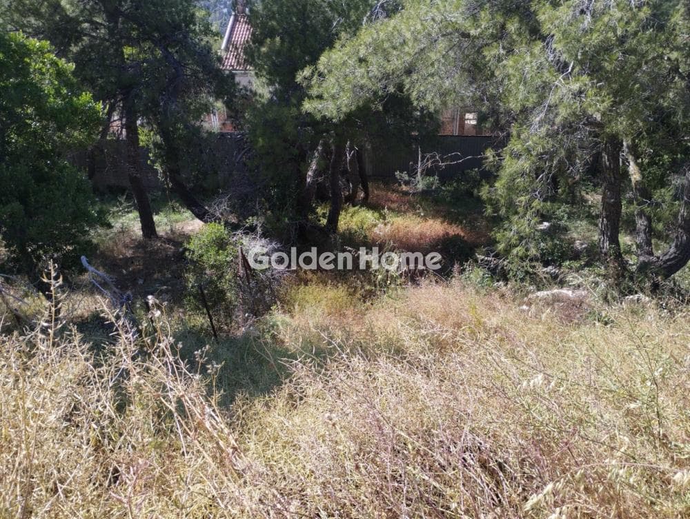 Οικόπεδο στην Αναγέννηση, Δροσιά — Φωτογραφία 3 από 6
