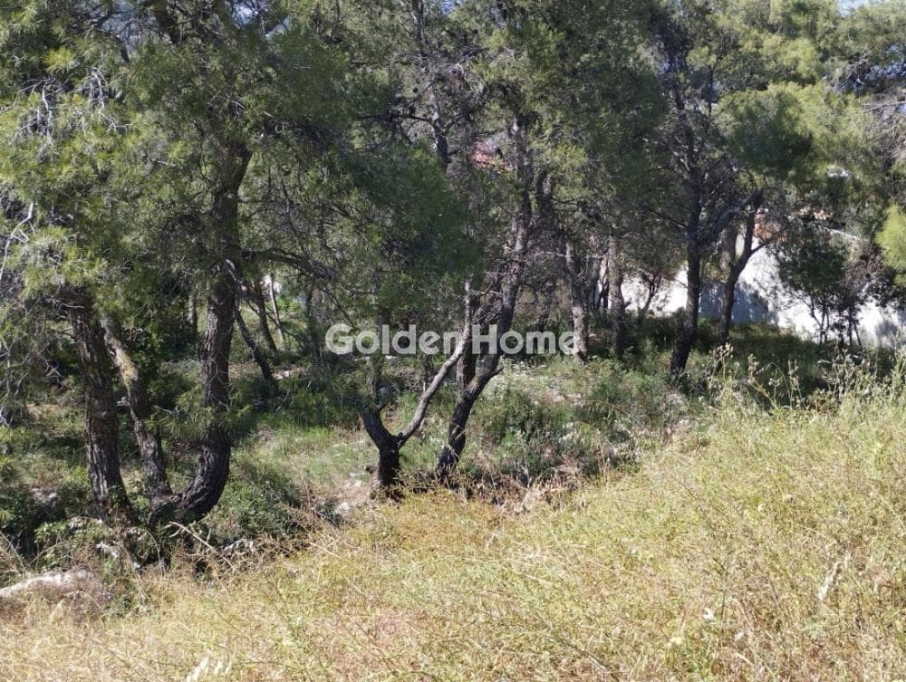 Οικόπεδο στην Αναγέννηση, Δροσιά — Φωτογραφία 4 από 6