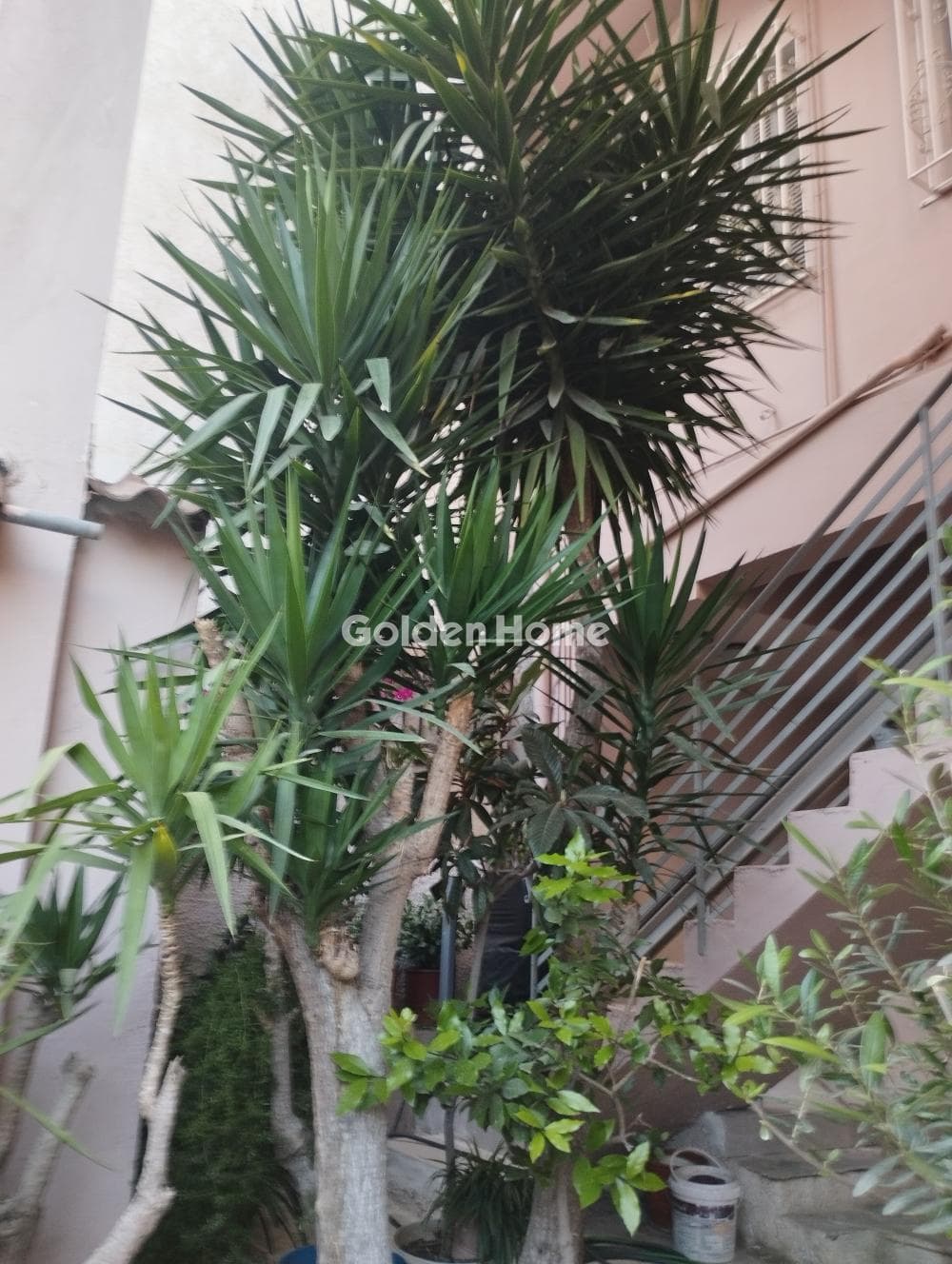 Apartment in Filopapou, Koukaki - Makrigianni — Photo 14 of 22