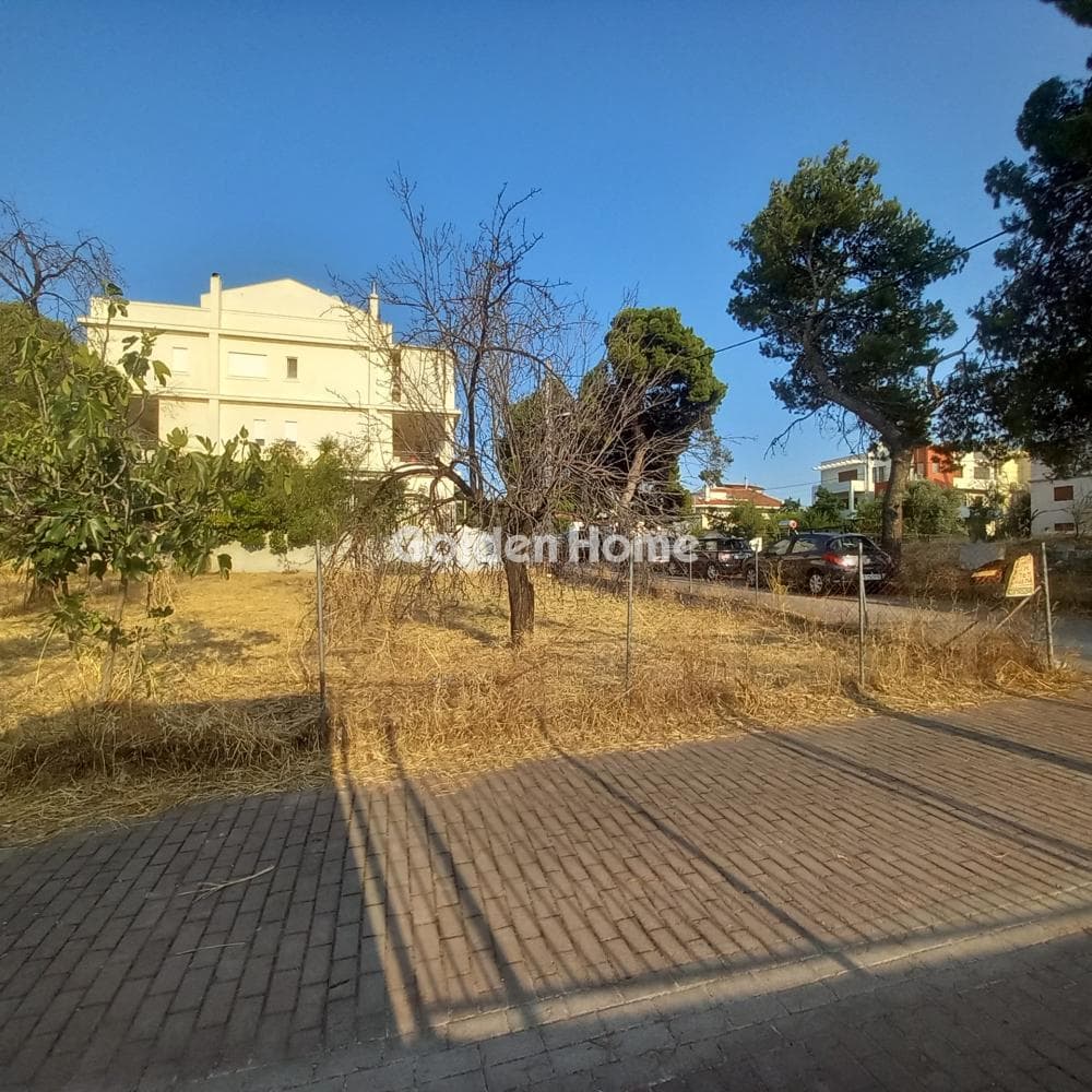 Οικόπεδο στην Πευκάκια, Αγία Παρασκευή — Φωτογραφία 5 από 7