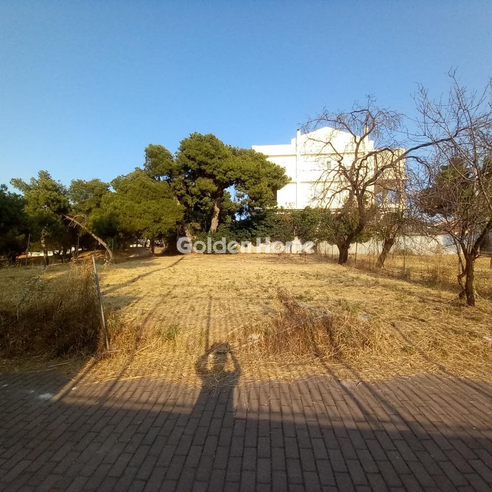 Οικόπεδο στην Πευκάκια, Αγία Παρασκευή — Φωτογραφία 7 από 7